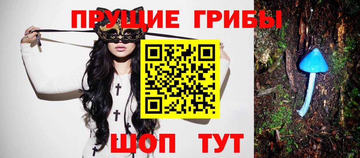Южноуральск  Псилоцибиновые грибы Psilocybe  закладка  Вход с VPN 